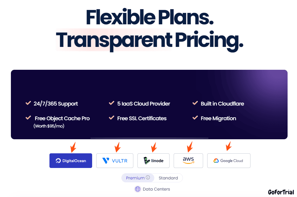 Cloudways Hosting Options