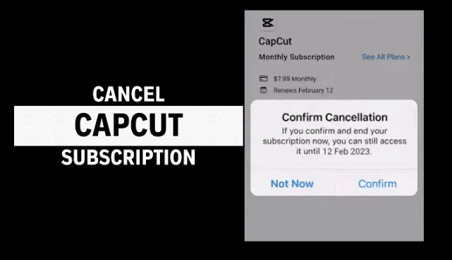 CapCut Free Trial: Start Your 30-day CapCut Pro Trial Now! 8 How-To-Cancel-CapCut-Free-Trial